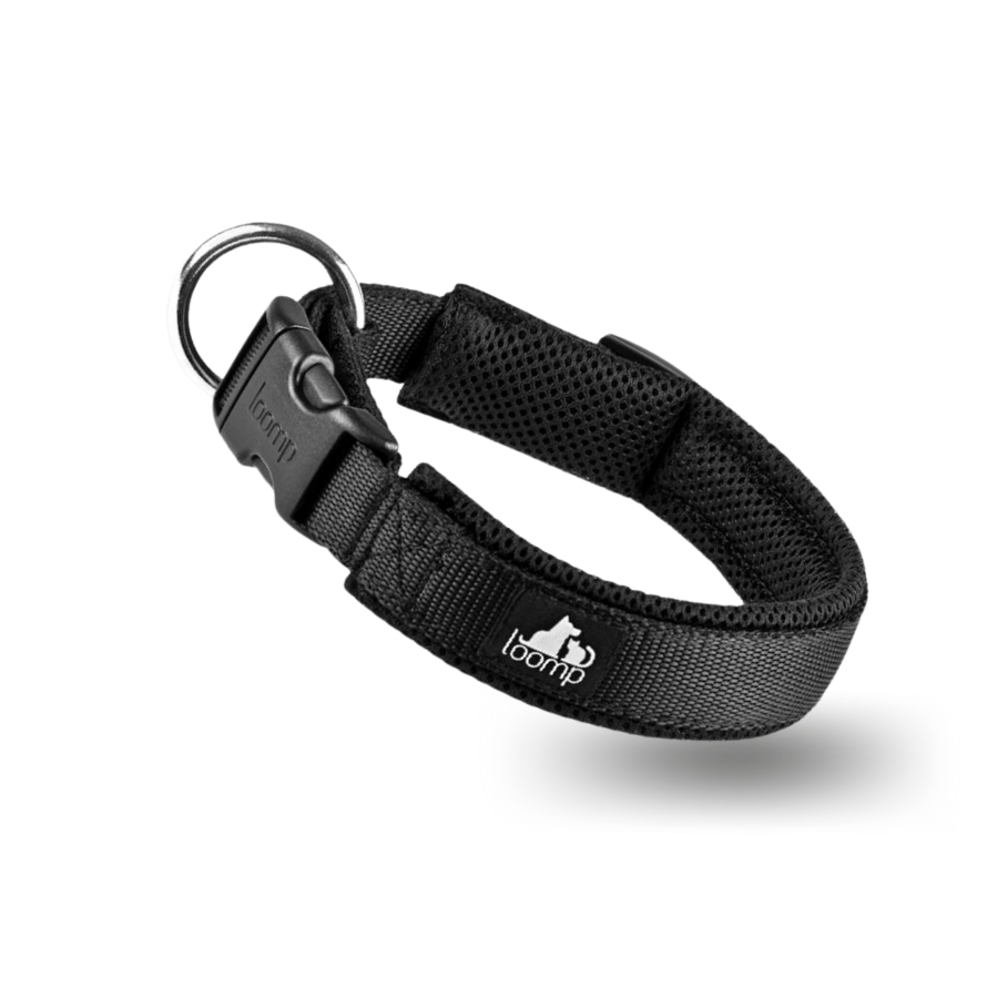 ovratnice za pse Loomp