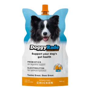 Drinks_DoggyRade_Chicken_500ml_EN