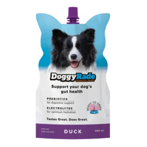 Drinks_DoggyRade__Duck_500ml_EN