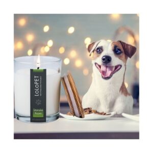 xr:d:DAFUA2E4Y6A:64,j:113136075,t:22120722