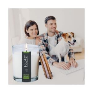 xr:d:DAFUA2E4Y6A:64,j:113136075,t:22120722