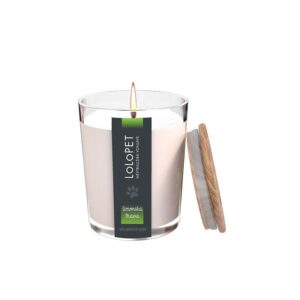 sveča limonska trava 1_r