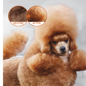 alt="Hipoalergena hrana za majhne pasme psov"