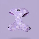 Moderna pasja oprema LOOMP – udobna, trpežna in varna, z inovativno QR kodo za enostavno vračanje izgubljenega psa.