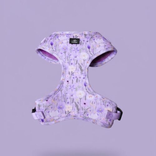 Moderna pasja oprema LOOMP – udobna, trpežna in varna, z inovativno QR kodo za enostavno vračanje izgubljenega psa.