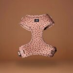 Pametna in udobna oprema za pse LOOMP z vgrajeno QR kodo – varnost in mir za lastnike ter svoboda za pse.