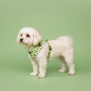 loomp mehka oprsnica nova