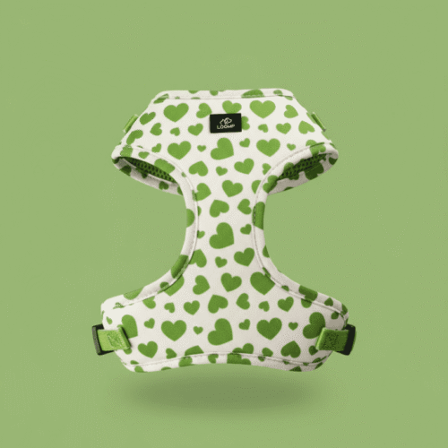 AIRsoft oprsnica I love you