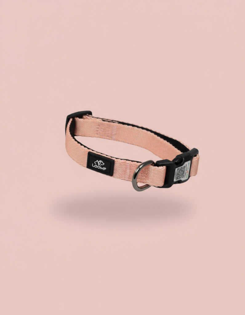 Ovratnica Pasja ovratnica Sport ovratnica Neopren