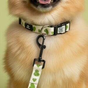 Pametna pasja oprsnica Loomp z QR zaponko – I love you zelena (6)