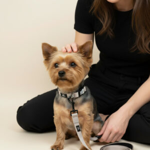 loomp smart oprema za pse nove generacije. qr zaponka podloženo z neoprenom (3)