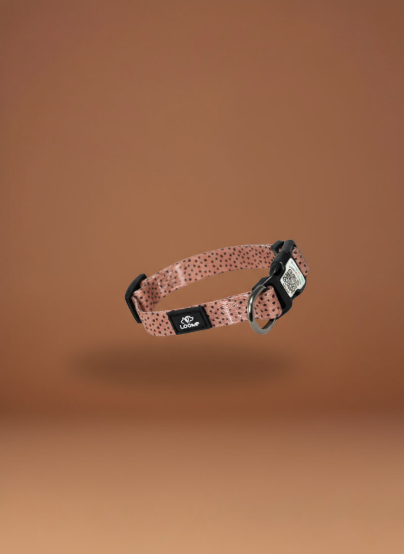 Loomp pametna pasja ovratnica z vgrajeno QR kodo