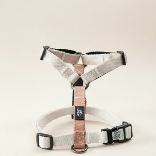 pasja oprsnica šport neopren