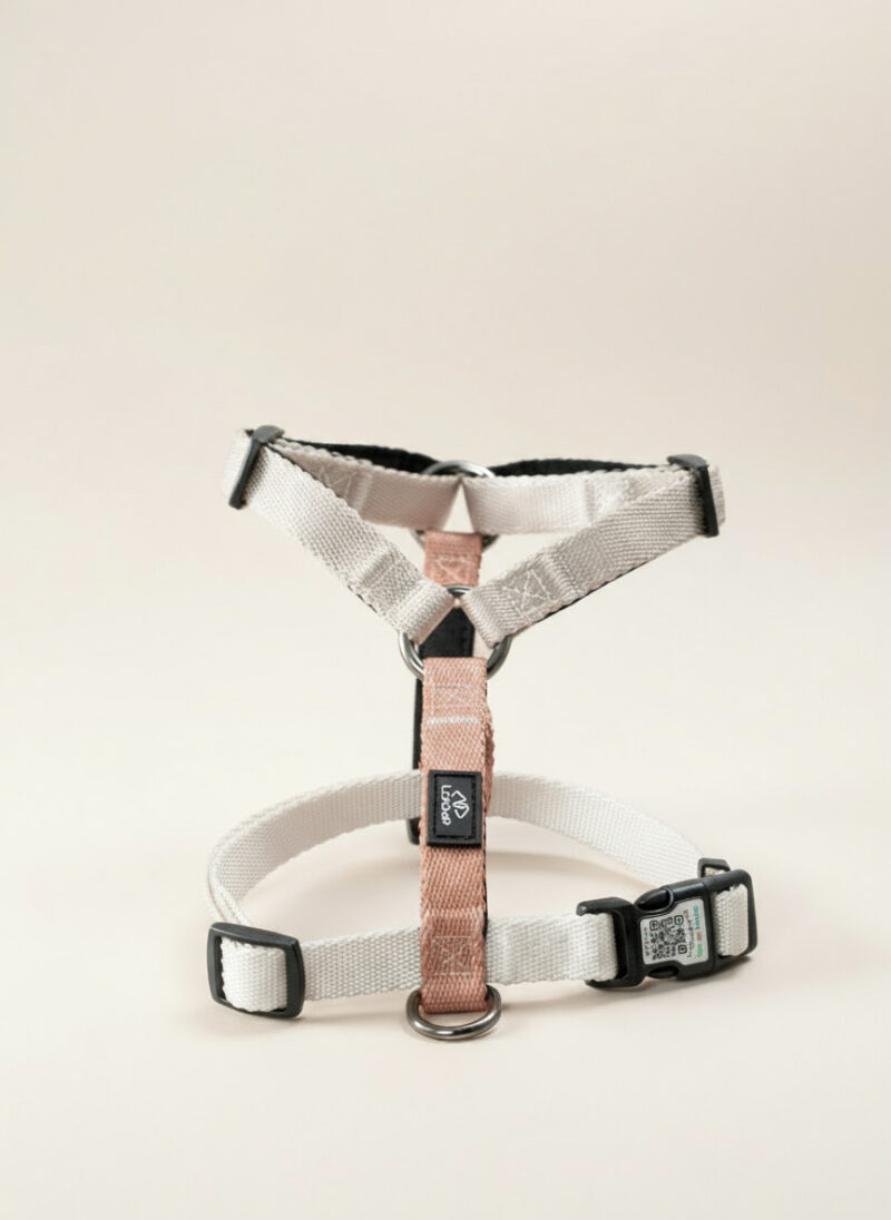 pasja oprsnica šport neopren