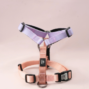 pametna Y oprsnica za psa loomp qr koda