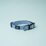 Pametna ovratnica Pasja ovratnica Sport ovratnica Neopren