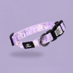 pametna qr ovratnica za pse vijolična loomp