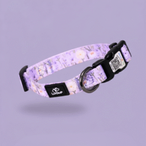 pametna qr ovratnica za pse vijolična loomp