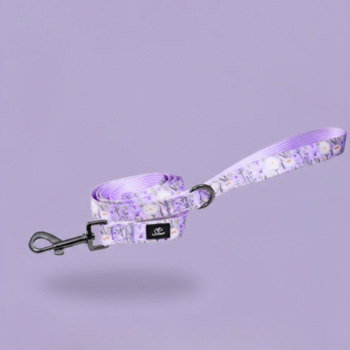 povodec za psa loomp vijoličen nova kolekcija