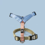 oprsnica za psa modre in zelene barve paetna y oprsnica pasja