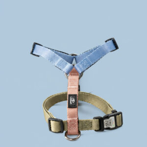 oprsnica za psa modre in zelene barve paetna y oprsnica pasja