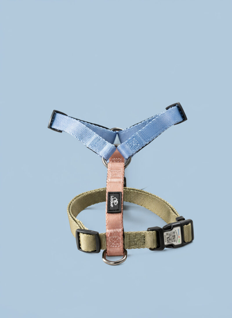 oprsnica za psa modre in zelene barve paetna y oprsnica pasja