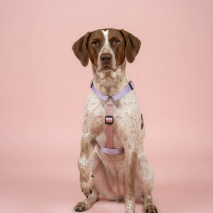 Pasja oprsnica Y oprsnica Smart oprsnica Neopren