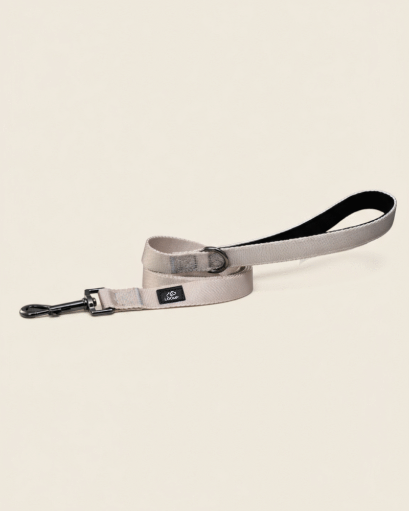 Povodec Pasji povodec Sport povodec Sportni povodec Elegantni povodec