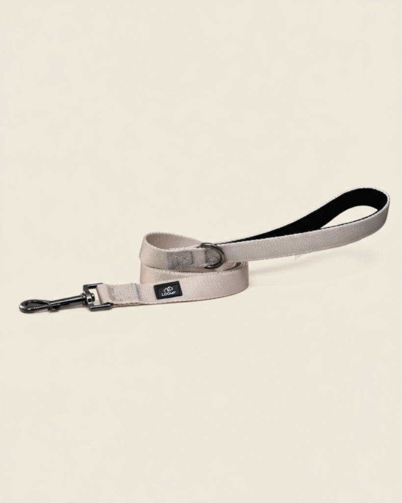 Povodec Pasji povodec Sport povodec Sportni povodec Elegantni povodec