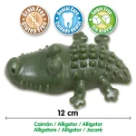 krokodil zelen